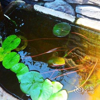 赤水红房子客栈酒店提供图片