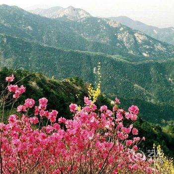 蒙阴蒙山怡景山庄酒店提供图片