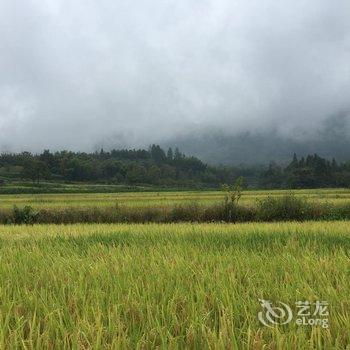 黟县徽商缘客栈酒店提供图片