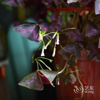 花莲呼吸民宿酒店提供图片