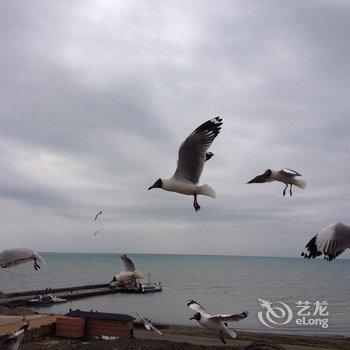 青海湖敖包相会蒙古包旅游度假村酒店提供图片