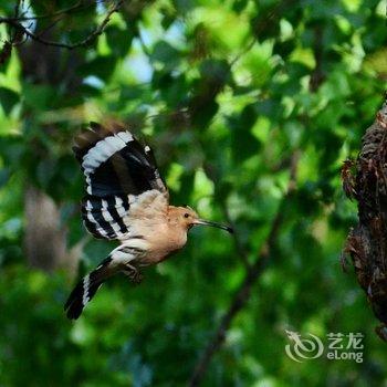 北戴河友谊宾馆酒店提供图片