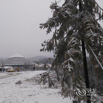 武隆观景假日酒店酒店提供图片