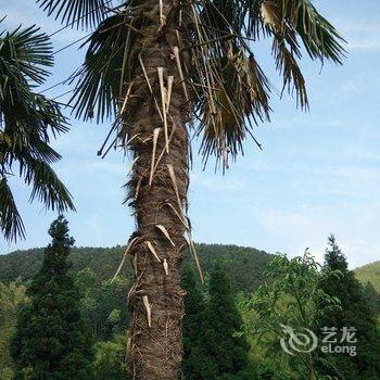 永泰云德山庄酒店提供图片