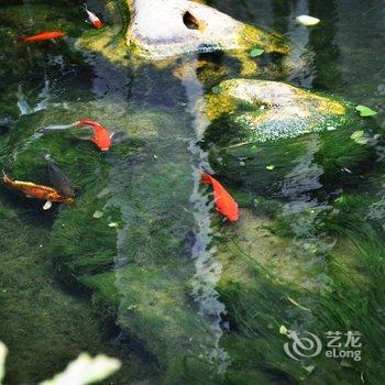 佛山龙江朗廷酒店酒店提供图片