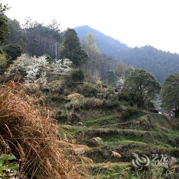 雷山蝶庄旅游文化客栈(西江苗寨店)酒店提供图片