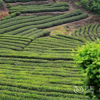 武当山福地居33号酒店提供图片