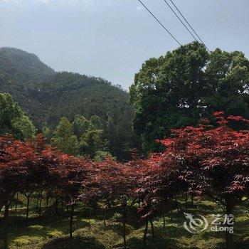 仙居山景农家乐酒店提供图片