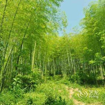 德清后坞村墨竹山庄酒店提供图片