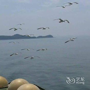 绥中东戴河佳兆业海之约海景公寓酒店提供图片