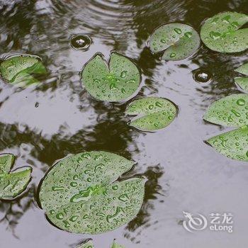 阆中镇江楼客栈酒店提供图片