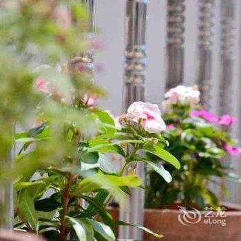 泰安红门流年·悠闲时光客栈酒店提供图片