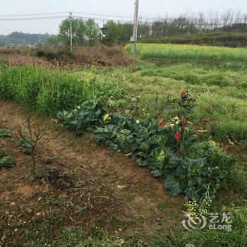 池州青阳长园洞民宿酒店提供图片