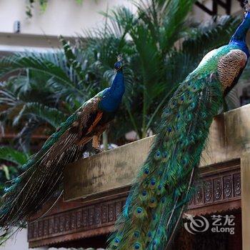 盘锦生态酒店酒店提供图片