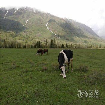 布尔津禾木第一家山庄酒店提供图片