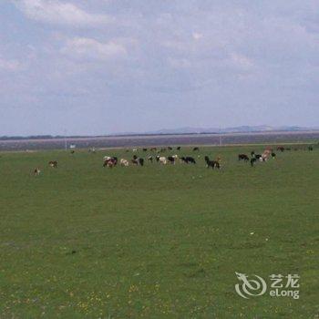 坝上草原顾家庄园酒店提供图片