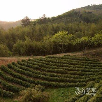 阿丽拉安吉度假酒店酒店提供图片