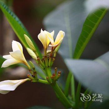 盘锦生态酒店酒店提供图片