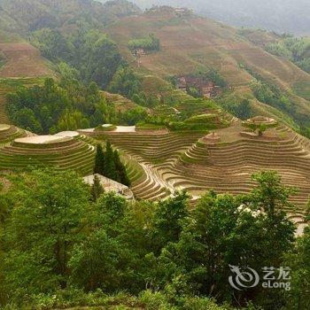 桂林龙脊金田宾馆酒店提供图片