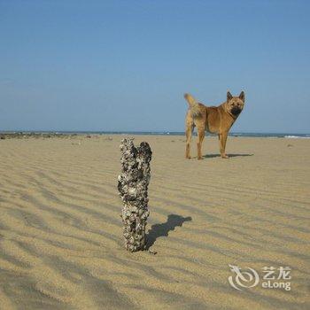 ������޵����ļ��տ�ջ�Ƶ��ṩͼƬ