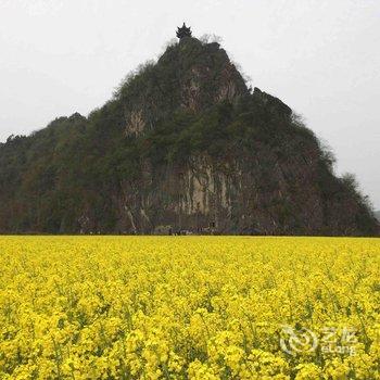 泾县仙峰度假山庄酒店提供图片