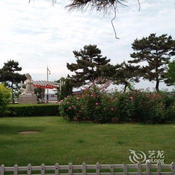 南戴河近海公寓酒店提供图片