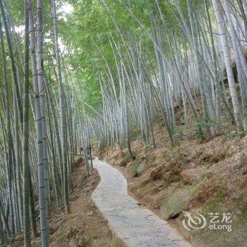 中瑞华艺大酒店(黄山景区换乘中心店)酒店提供图片