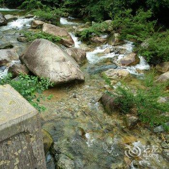 中瑞华艺大酒店(黄山景区换乘中心店)酒店提供图片