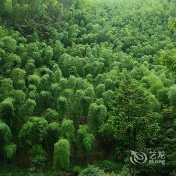 中瑞华艺大酒店(黄山景区换乘中心店)酒店提供图片