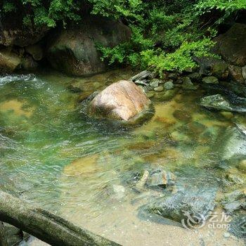 中瑞华艺大酒店(黄山景区换乘中心店)酒店提供图片