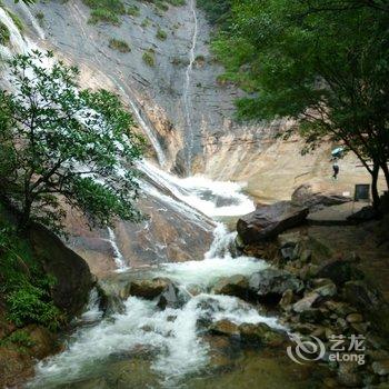 中瑞华艺大酒店(黄山景区换乘中心店)酒店提供图片