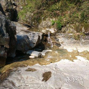 中瑞华艺大酒店(黄山景区换乘中心店)酒店提供图片