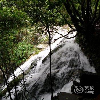 中瑞华艺大酒店(黄山景区换乘中心店)酒店提供图片