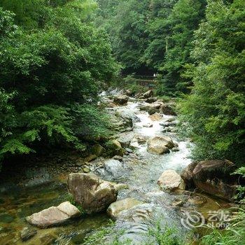 中瑞华艺大酒店(黄山景区换乘中心店)酒店提供图片