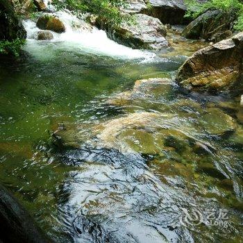 中瑞华艺大酒店(黄山景区换乘中心店)酒店提供图片