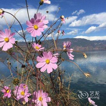 泸沽湖里格春天青年部落酒店提供图片