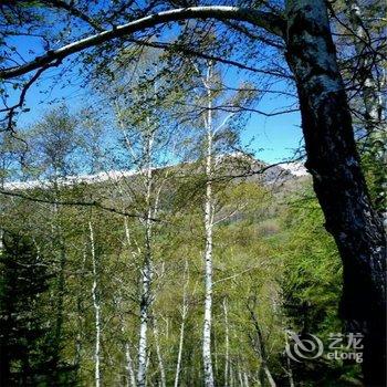 布尔津禾木第一家山庄酒店提供图片