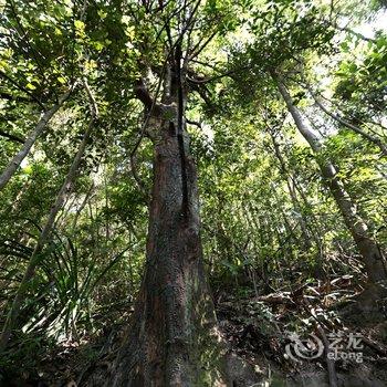 韶关新丰云天海温泉原始森林度假村酒店提供图片