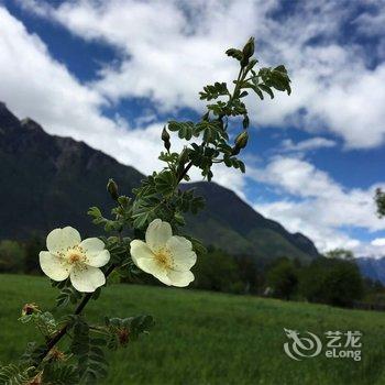 林芝康布美朵庄园酒店提供图片