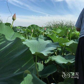 保定白洋淀周记饭店农家院酒店提供图片