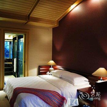 成都鱼凫国都温泉大酒店酒店提供图片