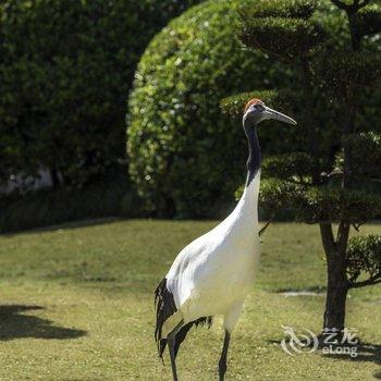 上海西郊宾馆酒店提供图片