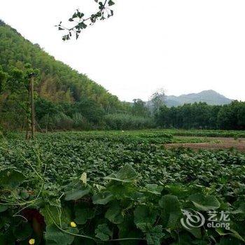 安吉美林度假村酒店提供图片