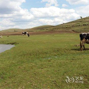 张北县草原天路大康庄园酒店提供图片