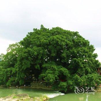 南靖河坑瑞隆土楼客栈酒店提供图片