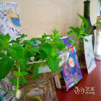 嵊泗夏洛克花园旅店酒店提供图片