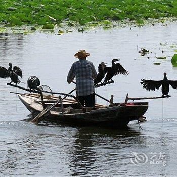 任丘欢乐水世界木屋别墅度假村酒店提供图片