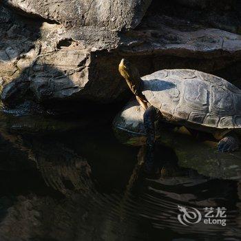 南浔落花老屋客栈酒店提供图片