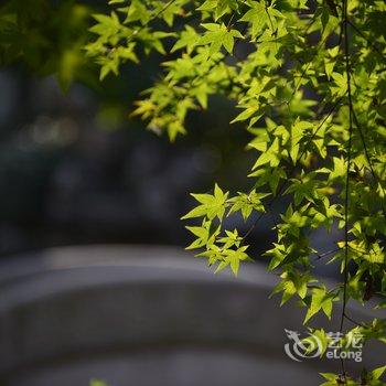 南浔落花老屋客栈酒店提供图片