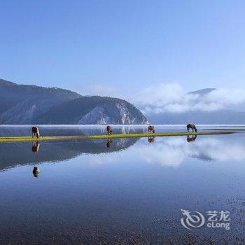 香格里拉浅时光客栈酒店提供图片